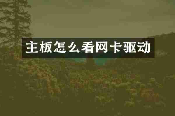 主板怎么看网卡驱动