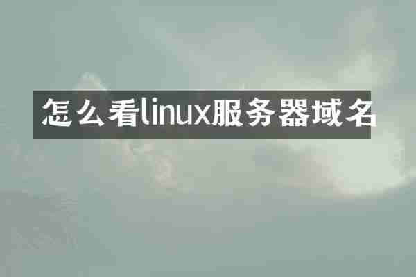 怎么看linux服务器域名