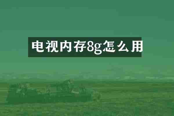 电视内存8g怎么用