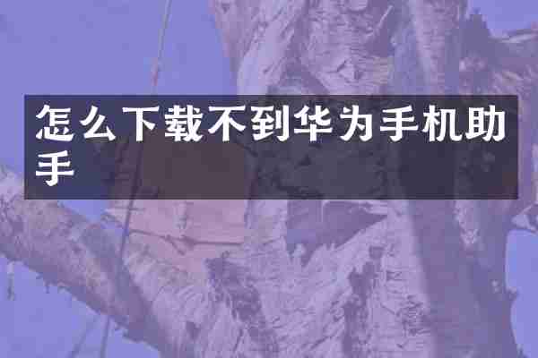 怎么下载不到华为手机助手