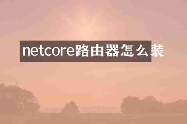 netcore路由器怎么装
