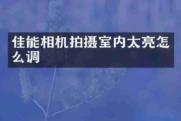佳能相机拍摄室内太亮怎么调