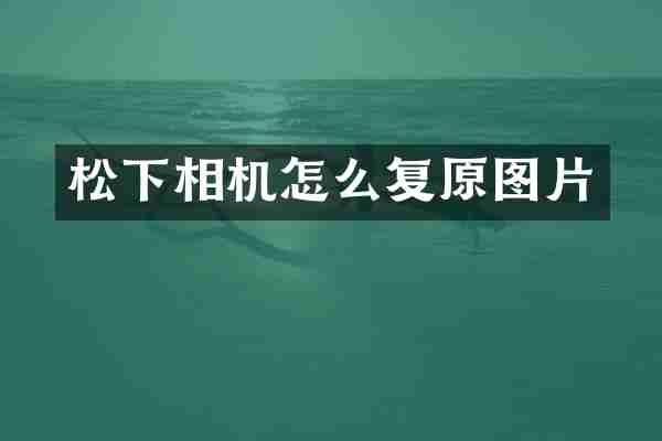 松下相机怎么复原图片