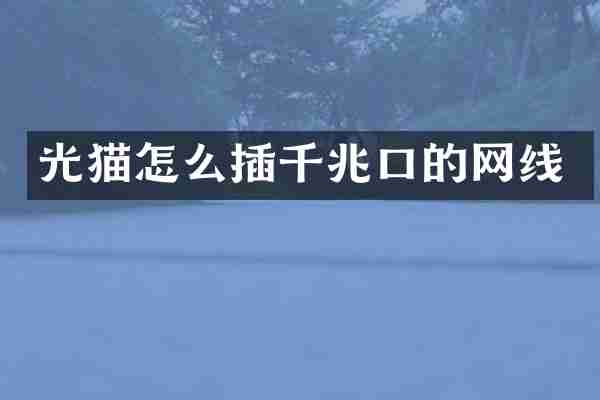 光猫怎么插千兆口的网线