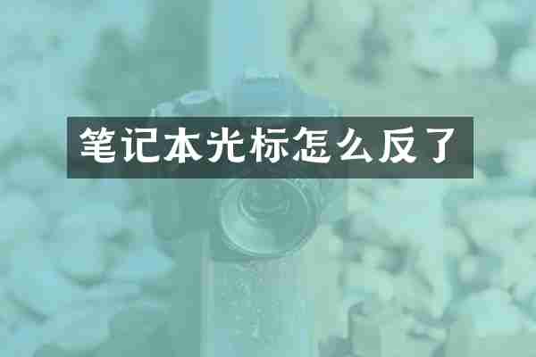 笔记本光标怎么反了