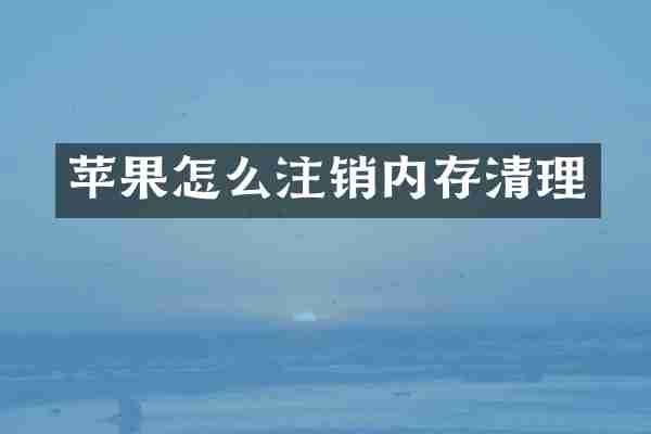 苹果怎么注销内存清理