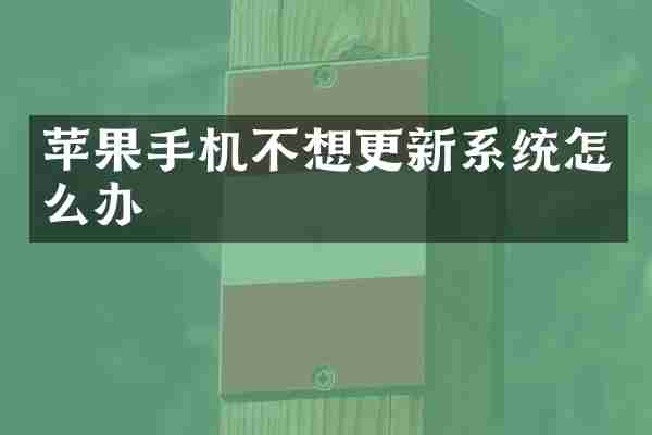 苹果手机不想更新系统怎么办