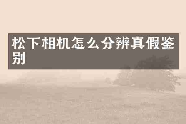松下相机怎么分辨真假鉴别