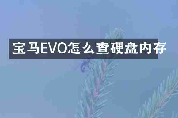 宝马EVO怎么查硬盘内存