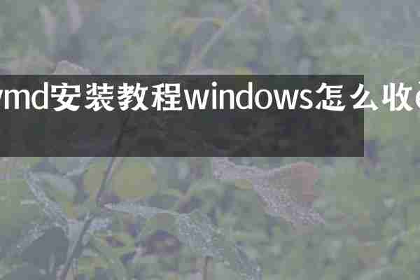 vmd安装教程windows怎么收费