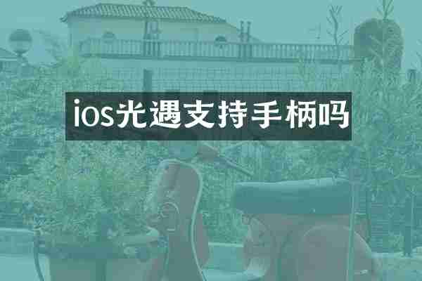 ios光遇支持手柄吗