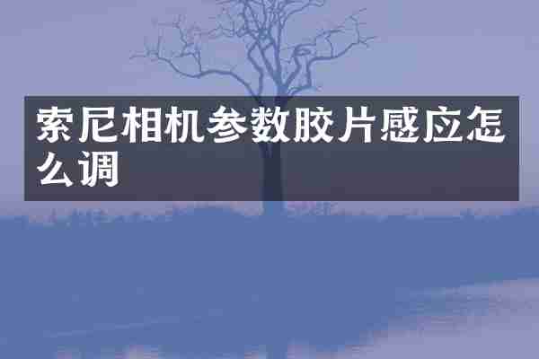 相机参数胶片感应怎么调