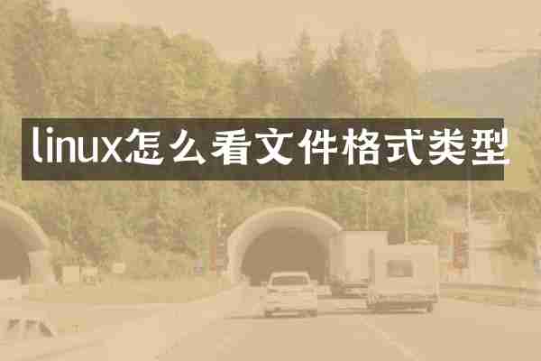 linux怎么看文件格式类型