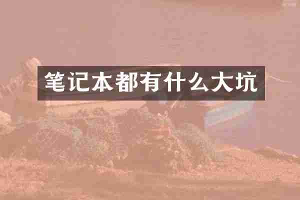 笔记本都有什么大坑