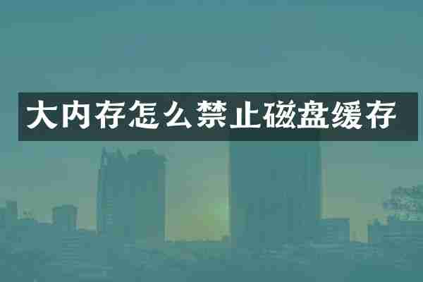 大内存怎么禁止磁盘缓存