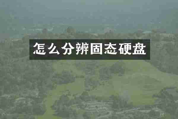 怎么分辨固态硬盘
