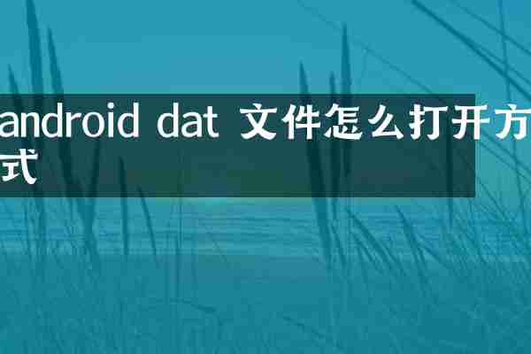 android dat 文件怎么打开方式