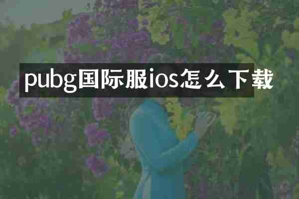 pubg国际服ios怎么下载