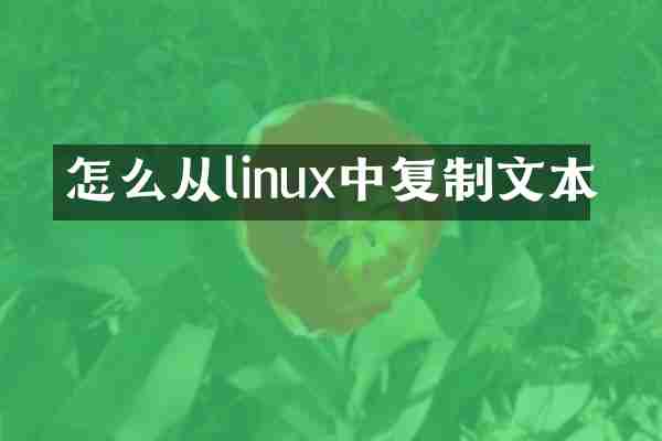 怎么从linux中复制文本
