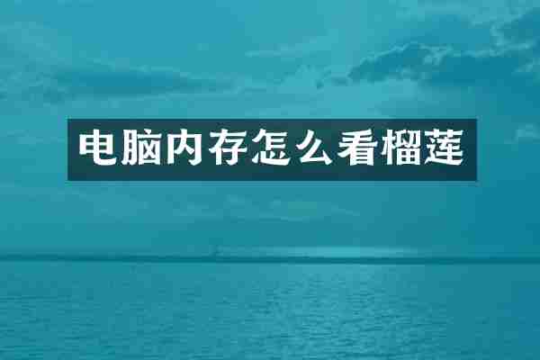 电脑内存怎么看榴莲
