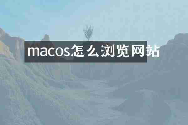 macos怎么浏览网站