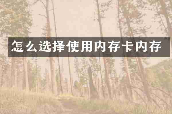 怎么选择使用内存卡内存