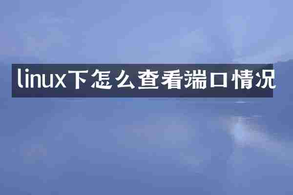linux下怎么查看端口情况