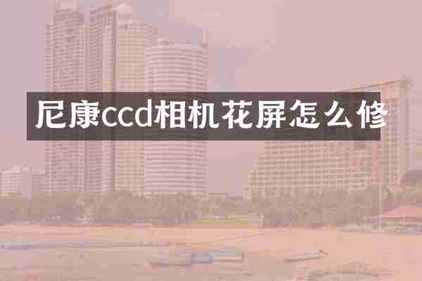 尼康ccd相机花屏怎么修