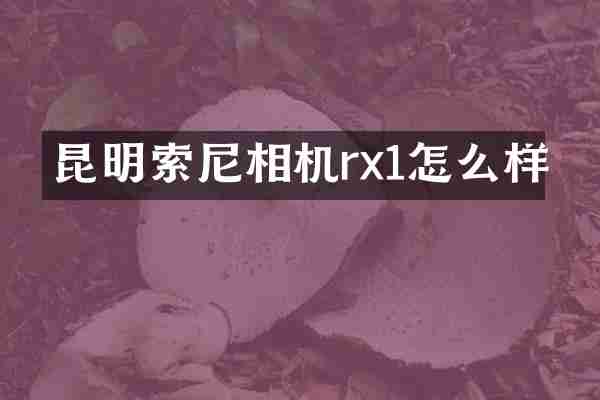 昆明相机rx1怎么样
