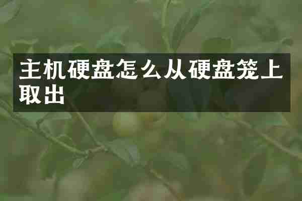主机硬盘怎么从硬盘笼上取出