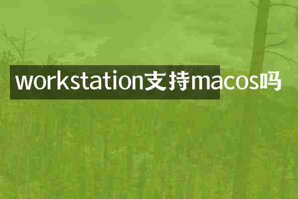 workstation支持macos吗