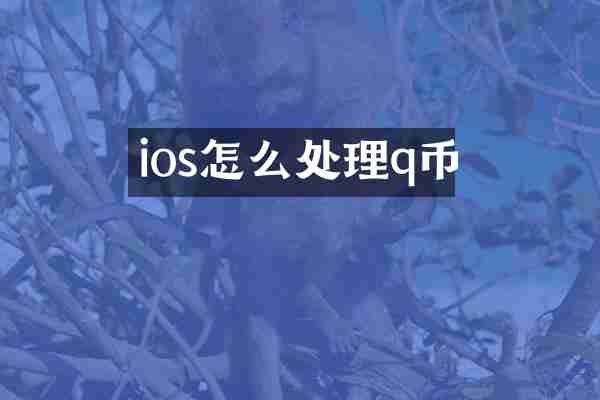 ios怎么处理q币