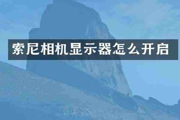 相机显示器怎么开启