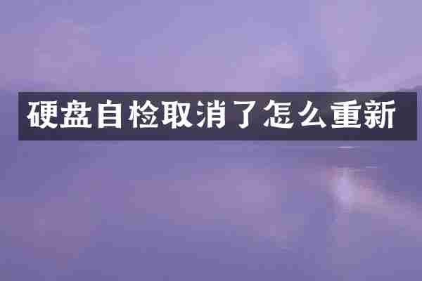 硬盘自检取消了怎么重新