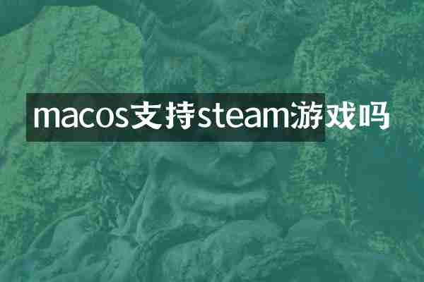 macos支持steam游戏吗