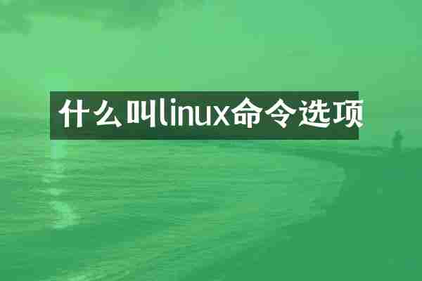 什么叫linux命令选项