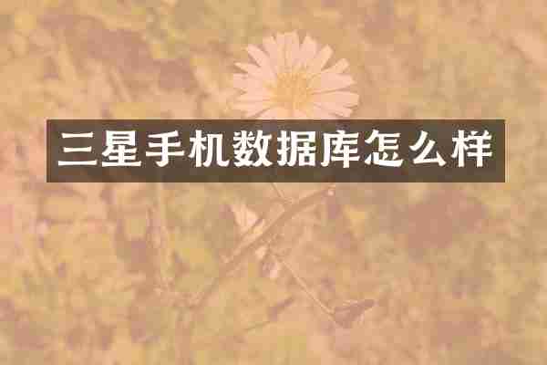 三星手机数据库怎么样