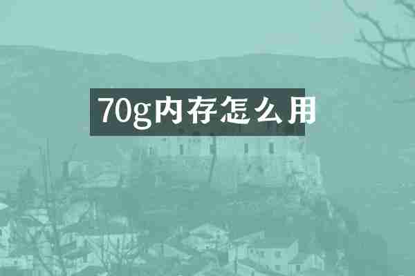 70g内存怎么用