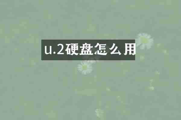u.2硬盘怎么用