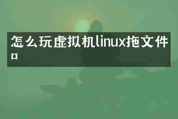 怎么玩虚拟机linux拖文件夹