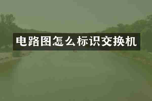 电路图怎么标识交换机