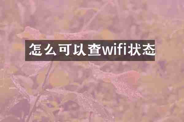 怎么可以查wifi状态