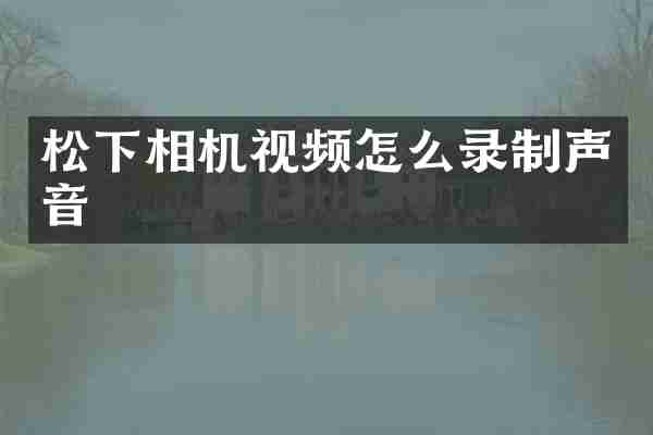 松下相机视频怎么录制声音