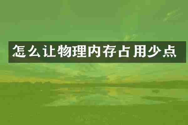 怎么让物理内存占用少点