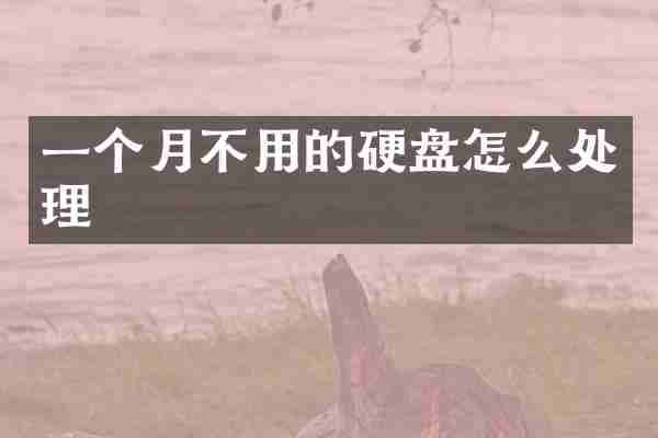 一个月不用的硬盘怎么处理