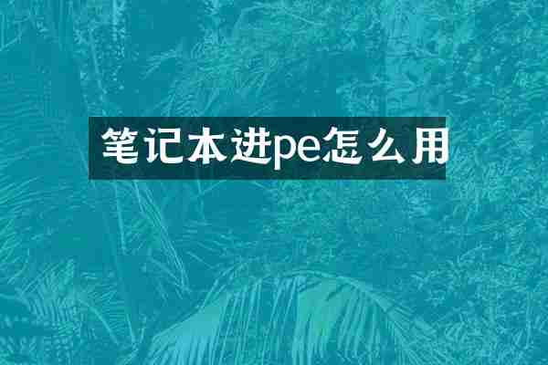 笔记本进pe怎么用