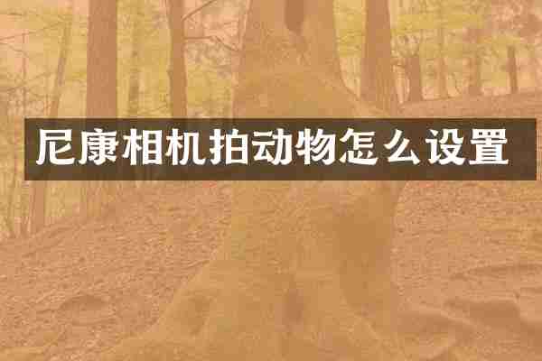 尼康相机拍动物怎么设置