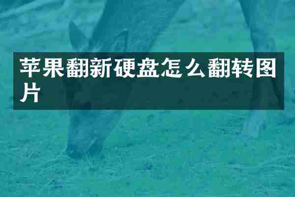 苹果翻新硬盘怎么翻转图片