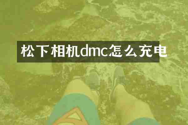 松下相机dmc怎么充电