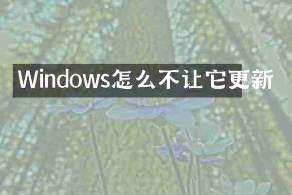 Windows怎么不让它更新